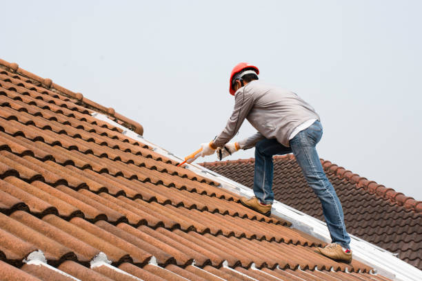 Best Roof Repair  in Avon, MN